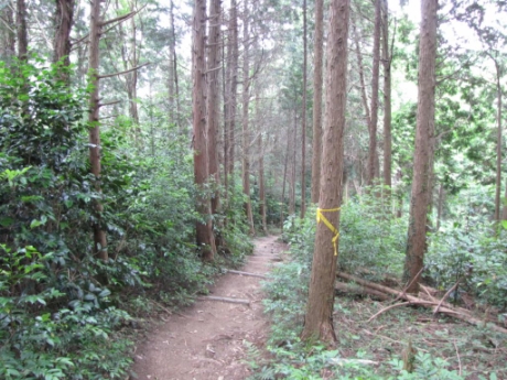 画像18